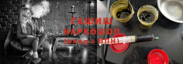 стаф Алзамай