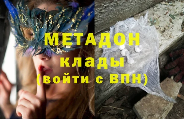 стаф Алзамай
