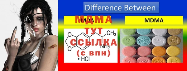 стаф Алзамай