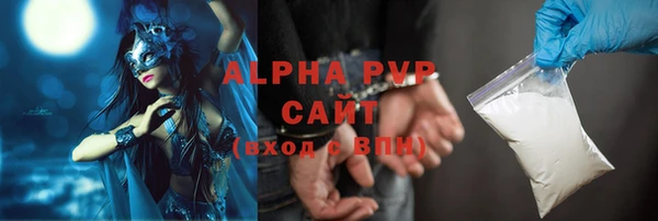 стаф Алзамай