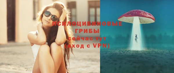 стаф Алзамай