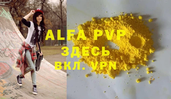 стаф Алзамай