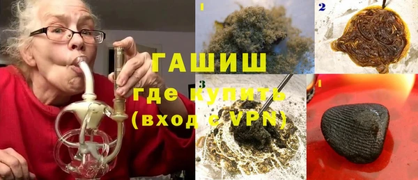стаф Алзамай