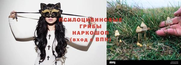 гидропоника Козельск