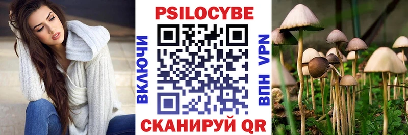 где найти наркотики  Далматово  Псилоцибиновые грибы MAGIC MUSHROOMS 